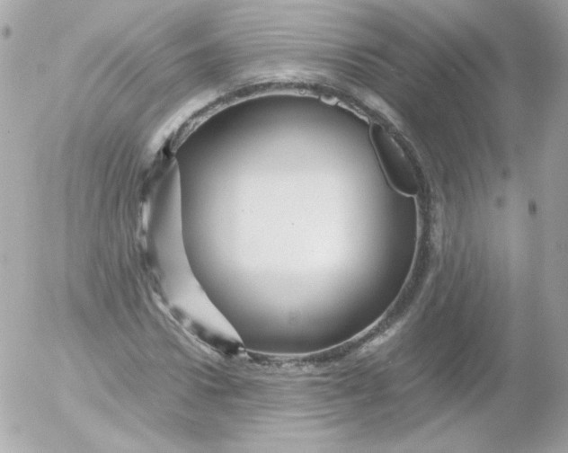 X0000052650922200507221837