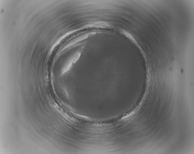 X0000052650923200507221837