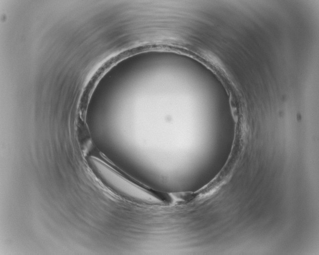 X0000052650924200507221838