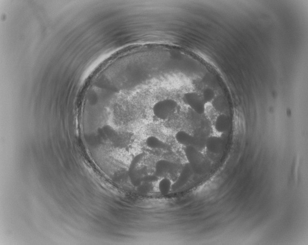 X0000052650925200507221838