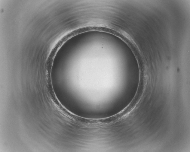 X0000052650926200507221838