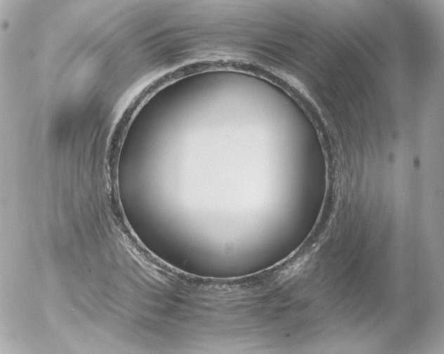 X0000052650927200507221838