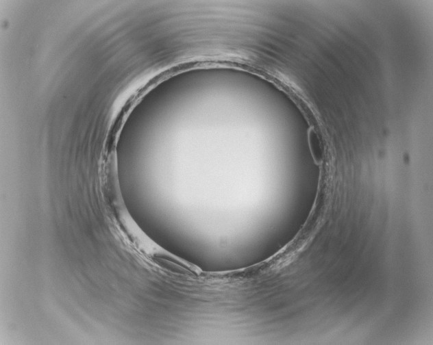 X0000052650928200507221838