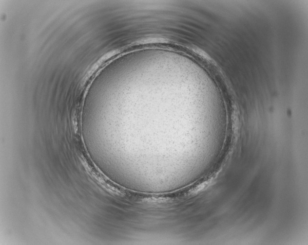 X0000052650929200507221838