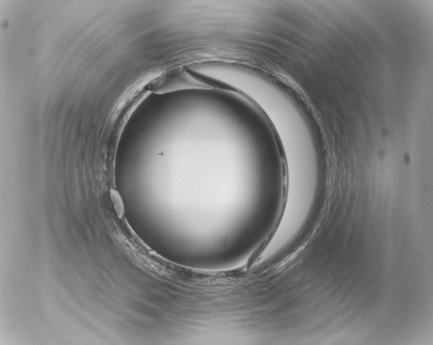 X0000052650930200507221838