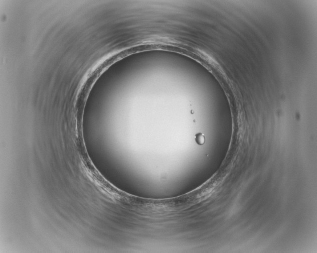 X0000052650931200507221838