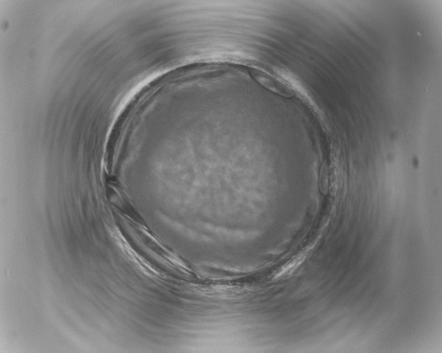 X0000052650932200507221838