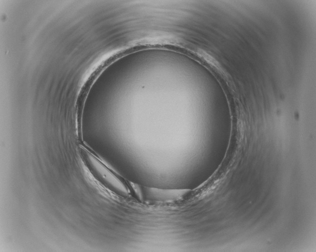 X0000052650934200507221838