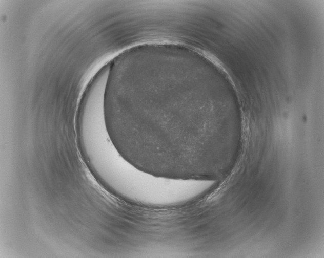 X0000052650935200507221838