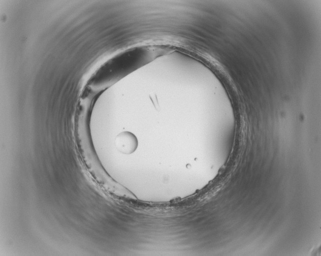 X0000052650936200507221838