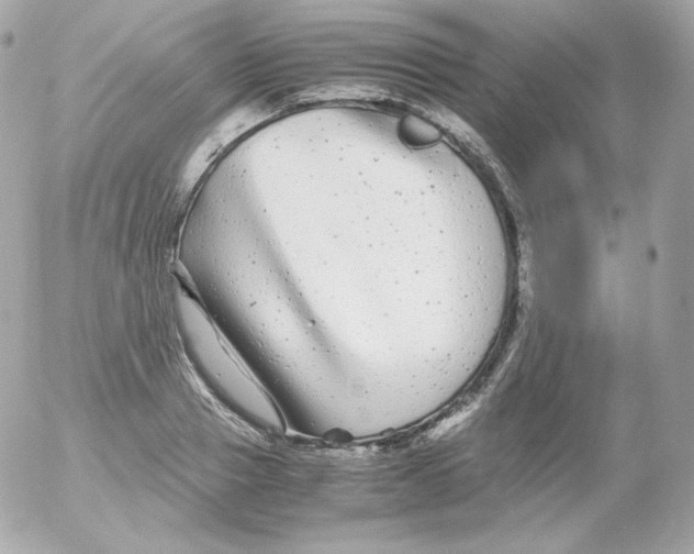 X0000052650937200507221838