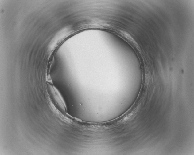 X0000052650938200507221838