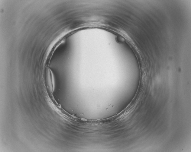 X0000052650939200507221838