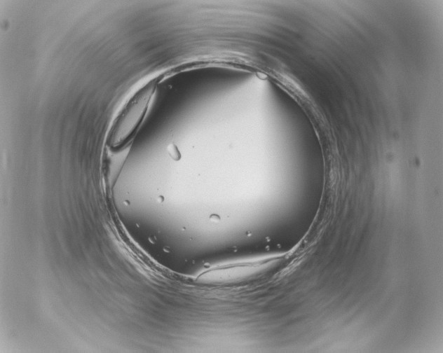 X0000052650940200507221838