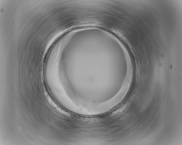 X0000052650941200507221838