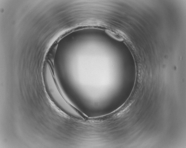 X0000052650942200507221838