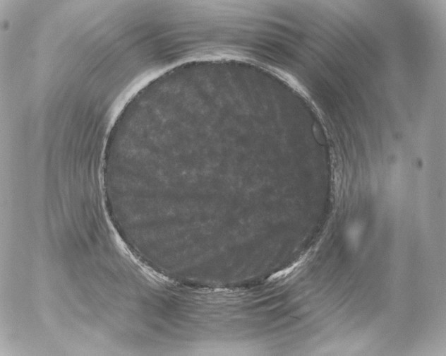 X0000052650943200507221838