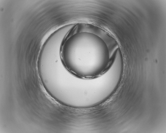 X0000052650944200507221838