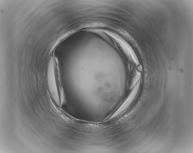 X0000052650945200507221838