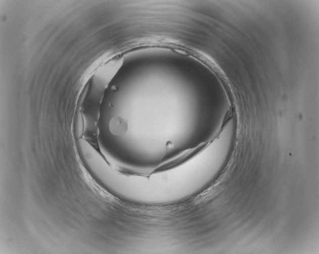 X0000052650946200507221838