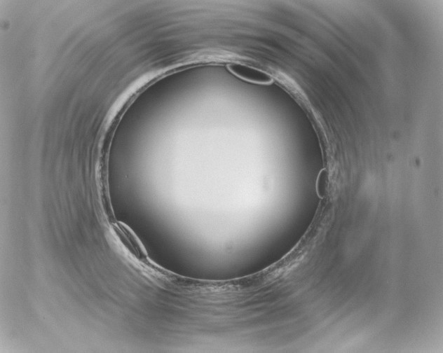 X0000052650947200507221838