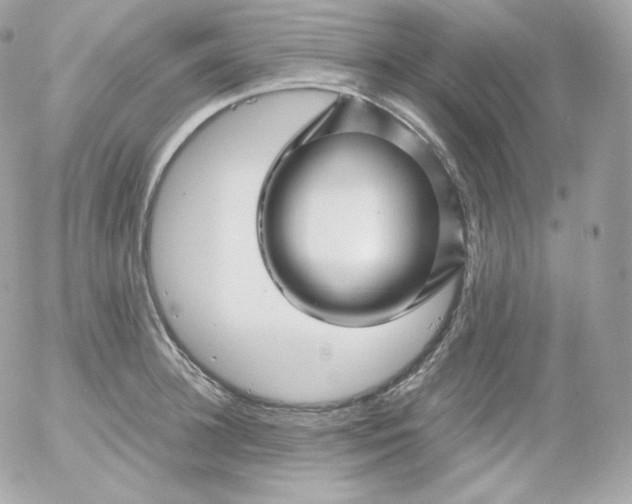 X0000052650948200507221838