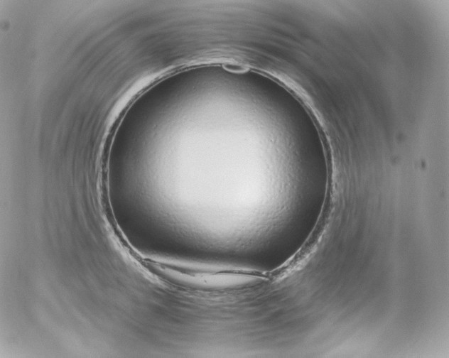 X0000052650949200507221838