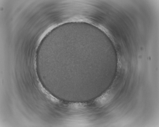 X0000052650950200507221838