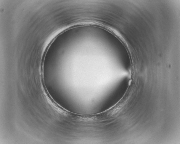 X0000052650951200507221838