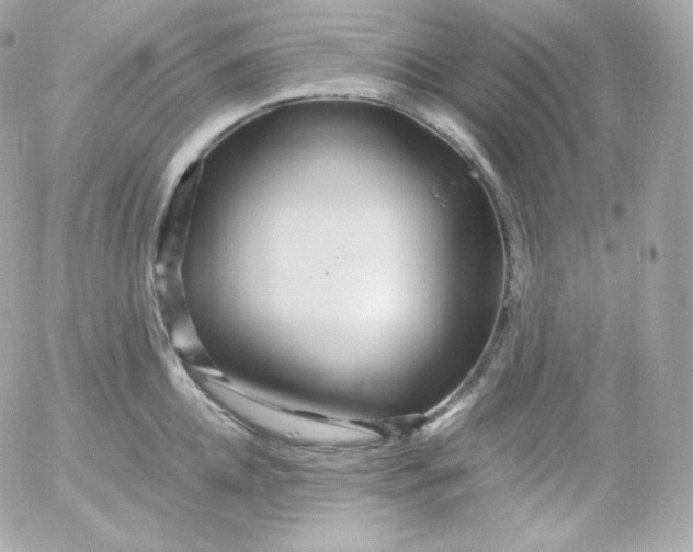 X0000052650952200507221838