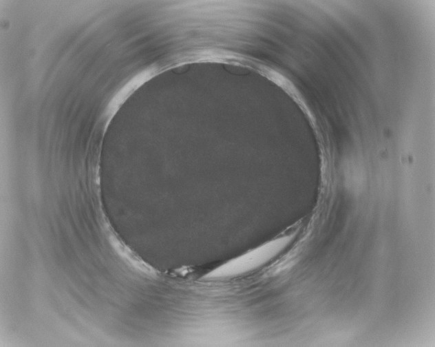 X0000052650954200507221838