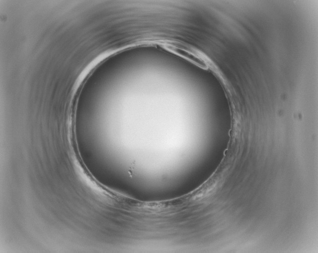 X0000052650955200507221838