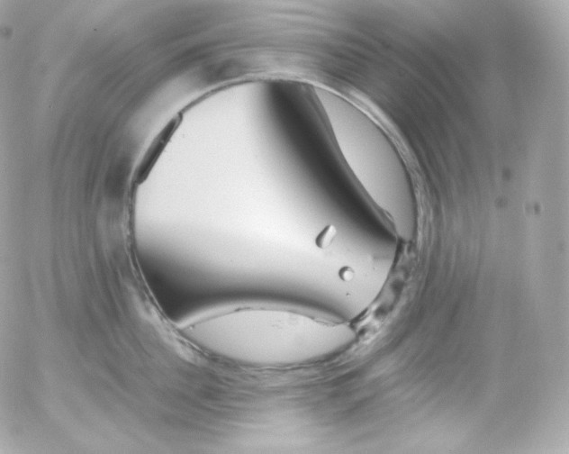 X0000052650956200507221838