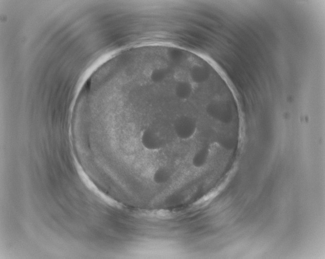 X0000052650957200507221838