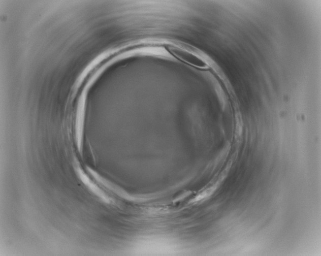 X0000052650958200507221838