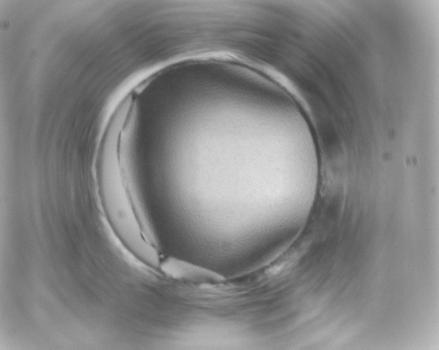 X0000052650959200507221838