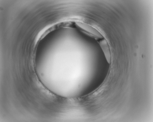 X0000052650960200507221838