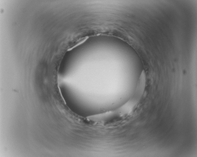 X0000052650961200507221837