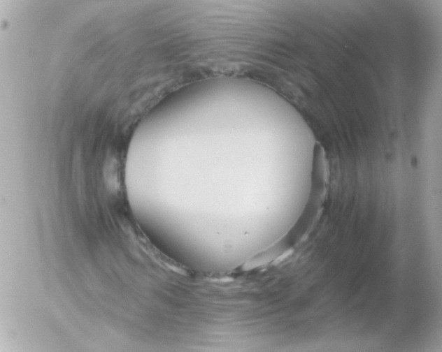 X0000052650962200507221837