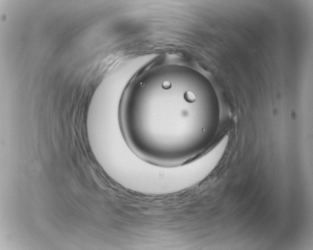 X0000052650963200507221837