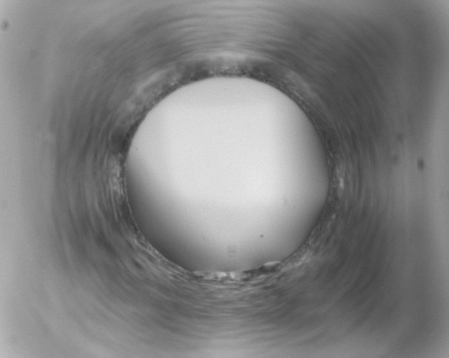 X0000052650964200507221837