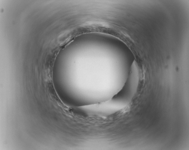 X0000052650965200507221837