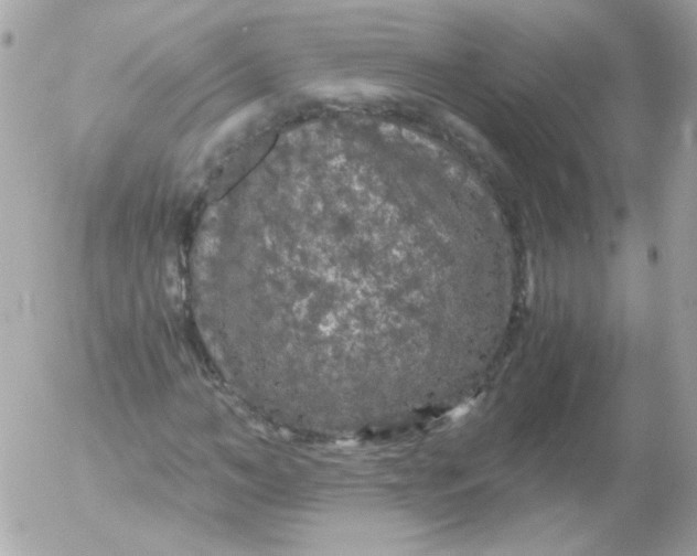 X0000052650966200507221837