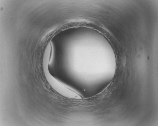 X0000052650967200507221837