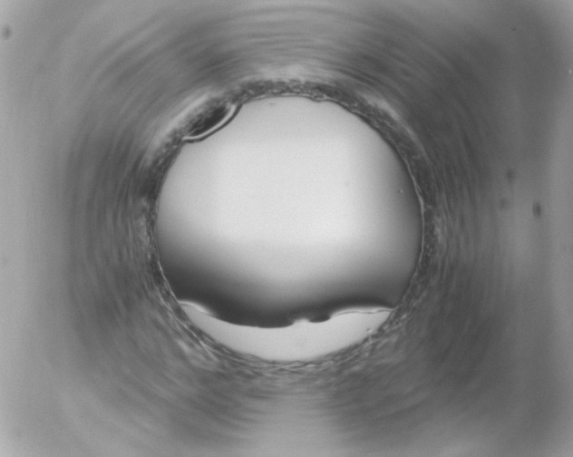 X0000052650968200507221837