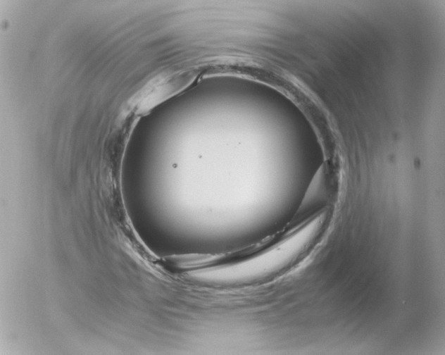 X0000052650969200507221837