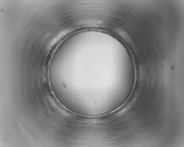 X0000052650970200507221837