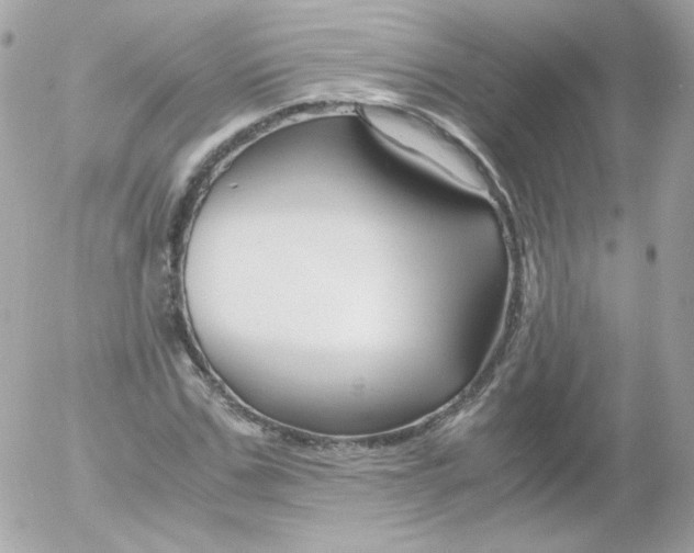 X0000052650971200507221837