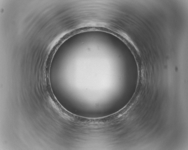 X0000052650972200507221837