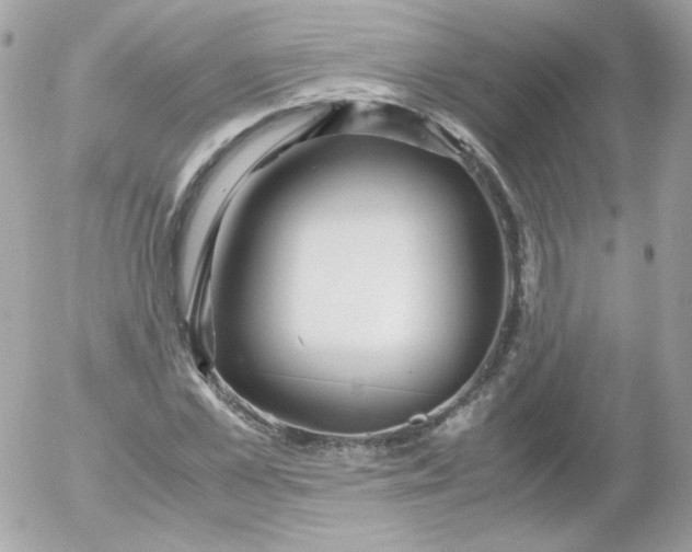 X0000052650973200507221837